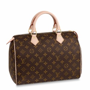 Louis Vuitton Speedy 30 Bag In Monogram Canvas M41108