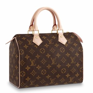 Louis Vuitton Speedy 25 Bag In Monogram Canvas M41109
