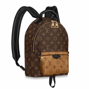 Louis Vuitton Palm Springs PM Backpack In Monogram Canvas M44870 