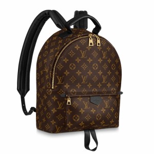 Louis Vuitton Palm Springs MM Backpack In Monogram Canvas M44874