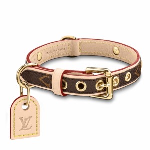 Louis Vuitton Baxter Dog Collar PM In Monogram Canvas M58072