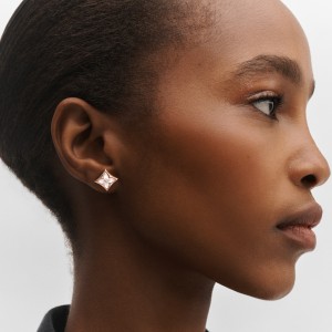 Louis Vuitton Color Blossom Sun Ear Studs Q96426