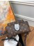 Louis Vuitton Palm Springs PM Backpack In Monogram Canvas M44871