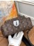 Louis Vuitton Palm Springs MM Backpack In Monogram Canvas M44874