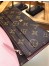 Louis Vuitton Emilie Wallet In Monogram Canvas M61289