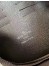 Louis Vuitton Kasai Clutch In Damier Ebene Canvas N41663