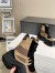 Louis Vuitton LV Archlight 2.0 Platform Ankle Boot In Beige Suede Leather