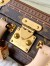 Louis Vuitton Mini Square Trunk Leopard in Monogram Canvas M11210