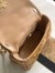 Louis Vuitton GO-14 PM Bag in Malletage Lambskin M12332
