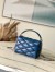 Louis Vuitton GO-14 PM Bag in Malletage Lambskin M12434