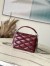 Louis Vuitton GO-14 PM Bag in Malletage Lambskin M12567