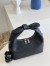 Louis Vuitton Why Knot PM Bag In Mahina Leather M20703