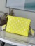 Louis Vuitton Coussin PM Bag In Monogram Lambskin M20843