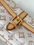 Louis Vuitton Maxi Multi Pochette Accessoires In Beige Monogram Canvas M20920