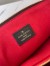 Louis Vuitton Coussin MM Bag In Monogram Lambskin M21204