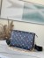 Louis Vuitton Coussin PM Bag In Monogram Lambskin M21353