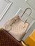 Louis Vuitton Blossom MM Bag In Galet Mahina Leather M21852