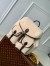 Louis Vuitton Backpack in Shearling M23384