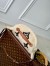 Louis Vuitton Bumbag MM Bag in Shearling M23715