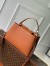 Louis Vuitton Capucines GM Souple Bag in Taurillon Leather M24879