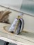 Louis Vuitton GO-14 MM Bag in Silver Quilted Lambskin M25107