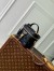 Louis Vuitton Vanity PM Bag in Puffy Lambskin M25123