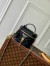 Louis Vuitton Vanity PM Bag in Puffy Lambskin M25123