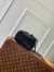 Louis Vuitton Vanity PM Bag in Puffy Lambskin M25123