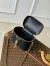Louis Vuitton Vanity PM Bag in Puffy Lambskin M25123