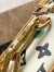 Louis Vuitton Mini Soft Trunk Bag in Monogram Craggy Canvas M25132