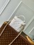 Louis Vuitton Vanity PM Bag in Puffy Lambskin M25219