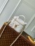 Louis Vuitton Vanity PM Bag in Puffy Lambskin M25219
