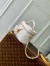 Louis Vuitton Vanity PM Bag in Puffy Lambskin M25219
