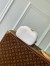 Louis Vuitton Vanity PM Bag in Puffy Lambskin M25219