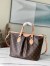 Louis Vuitton Palermo PM Bag In Monogram Canvas M40145