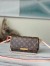 Louis Vuitton Favorite PM Bag In Monogram Canvas M40717