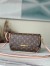 Louis Vuitton Favorite MM In Bag Monogram Canvas M40718
