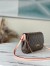 Louis Vuitton Favorite MM In Bag Monogram Canvas M40718