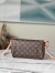 Louis Vuitton Favorite MM In Bag Monogram Canvas M40718