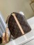 Louis Vuitton Speedy Bandouliere 35 Bag In Monogram Canvas M41111