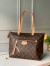Louis Vuitton Iena PM Bag In Monogram Canvas M42268
