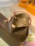 Louis Vuitton Graceful MM Bag In Monogram Canvas M43704