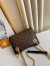 Louis Vuitton Surene BB Bag In Monogram Canvas M43775