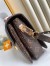 Louis Vuitton Pochette Metis Bag In Monogram Canvas M44875