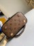 Louis Vuitton Vanity PM Bag In Monogram Canvas M45165