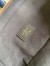 Louis Vuitton Vanity PM Bag In Monogram Canvas M45165
