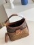 Louis Vuitton Hobo Dauphine PM Bag In Monogram Reverse Canvas M45194