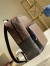 Louis Vuitton Dean Backpack In Monogram Macassar Canvas M45335