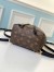Louis Vuitton Montsouris BB Backpack In Monogram Canvas M45516