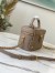 Louis Vuitton Vanity PM Bag In Monogram Empreinte Leather M45608